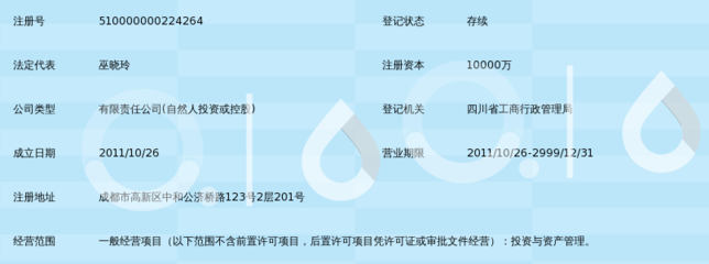 四川華宜投資集團