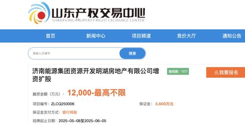 濟南能源集團旗下明湖地產要增資擴股引 戰投