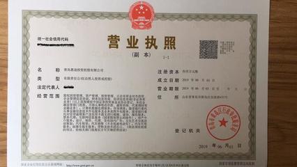 投資控股注冊條件,個人開投資公司條件(投資的經營范圍都有哪些)